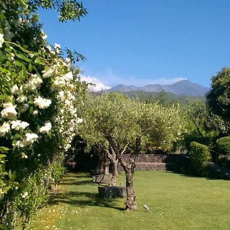 Casa Vacanze Prato Verde Цафферана-Етнеа Екстер'єр фото